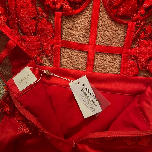 Alamour the Label red coral 3D mini dress. - Picture 5 of 7